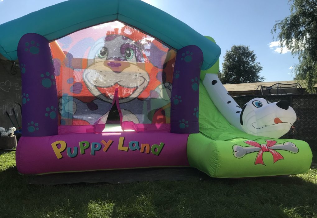 Pronájem skákacích hradů, skakaci hrad, nafukovaci hrad, pronajem, k pronajmu, Pejsek, pes, dog, udlice, chomutov, ustecky kraj, ustecko,