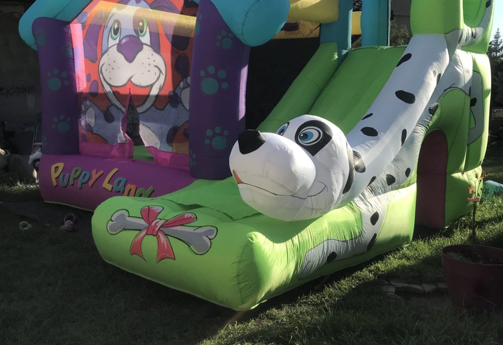 skakaci hrad, nafukovaci hrad, pronajem, k pronajmu, Pejsek, pes, dog, udlice, chomutov, ustecky kraj, ustecko,