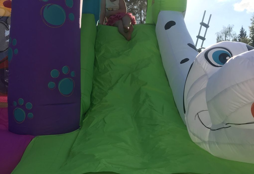 skakaci hrad, nafukovaci hrad, pronajem, k pronajmu, Pejsek, pes, dog, udlice, chomutov, ustecky kraj, ustecko,