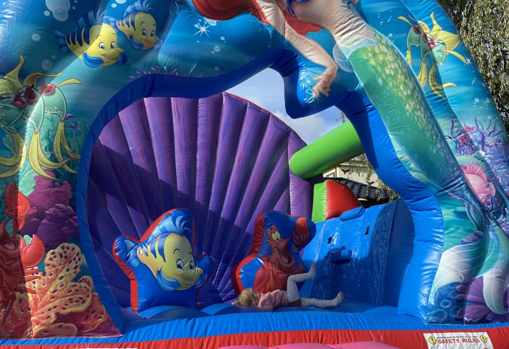 skakaci hrad, nafukovaci hrad, pronajem, k pronajmu, ariel, mala morska vila, udlice, chomutov, ustecky kraj, ustecko,